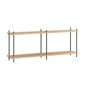 MOEBE Shelving System S.65.2.B