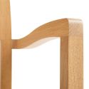 HAY Pastis Dining Armchair