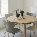 Fritz Hansen Series 7 Chair - Coloured