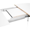 Fritz Hansen Superellipse Table