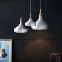 Fritz Hansen Aluminium Orient Pendant Light