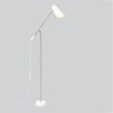 Northern Birdy Floor Lamp