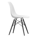 Vitra Eames DSW Plastic Chair