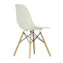 Vitra Eames DSW Plastic Chair