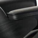 Vitra Eames Lounge Chair - Black Ash
