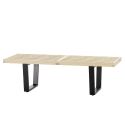 Vitra Nelson Bench/Table