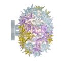 Kartell Elliptical Bloom Ceiling/Wall Light