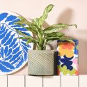 Wrap Coffee Tin - Bloom