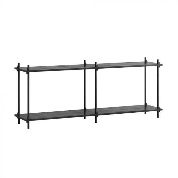 MOEBE Shelving System S.65.2.B