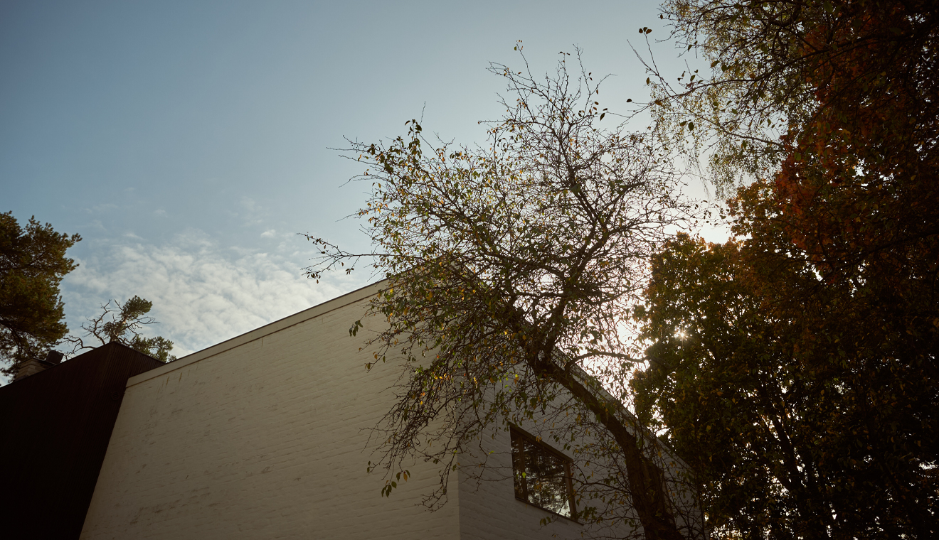 Iconic Homes: The Aalto House